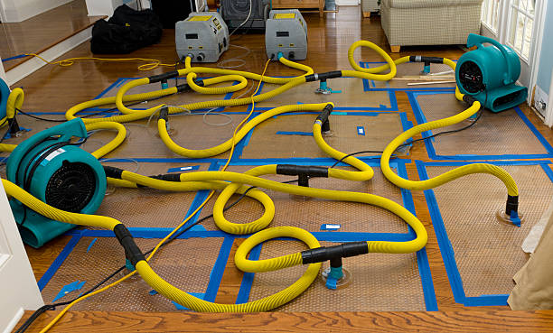 Professional Flood Damage Restoration technician working in Stratton, OH